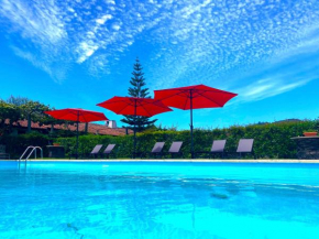 Quinta Dom Sapo - Agroturismo